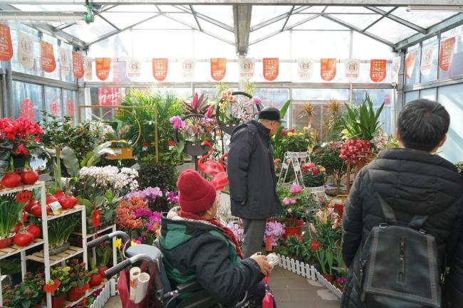 北京景山公園換上新年裝 傳統(tǒng)韻味迎新春