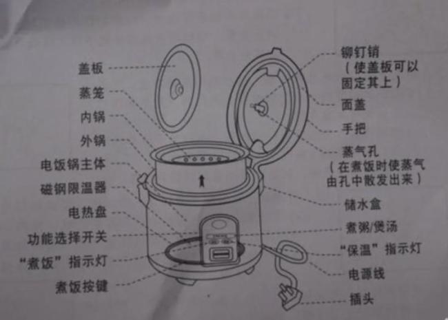 電飯煲4個地方不洗變“蟑螂蒸飯” 清潔死角需重視