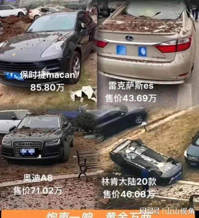 雷克薩斯受損車主獲免費代步車 樂觀直播引關(guān)注