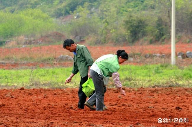 “初九3不做，蛇年无灾祸” 哪3不做？ 祭拜禁忌要知道