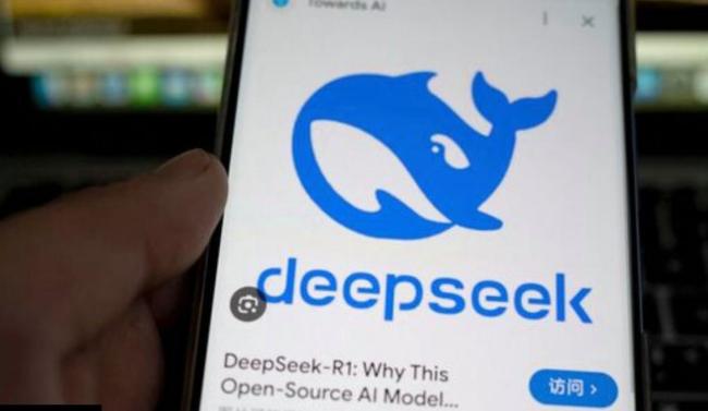 DeepSeek引發(fā)多國政府審查