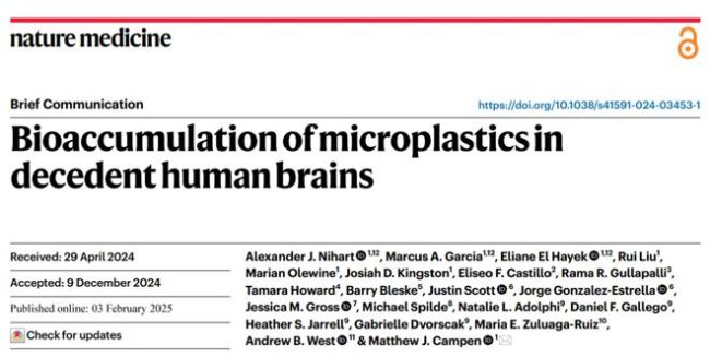《自然》子刊：大脑成微塑料最大受害者！或为痴呆症埋下重大隐患
