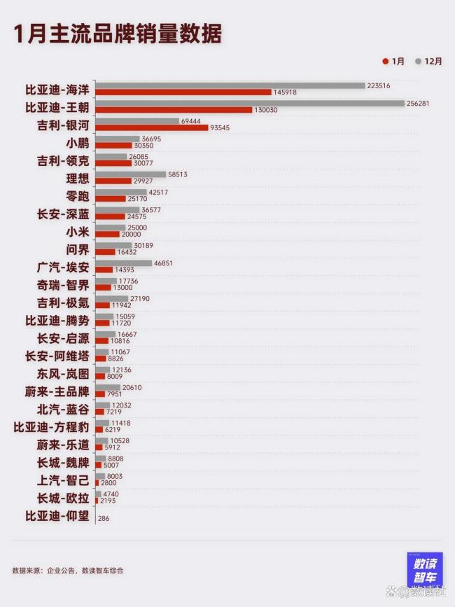 1月國產(chǎn)新能源走進(jìn)“臺(tái)風(fēng)眼” 銷量波動(dòng)預(yù)示激烈競爭