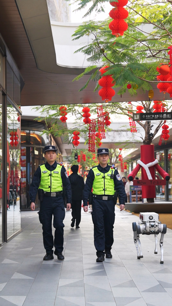 深圳春節(jié)日均1.8萬警力值守 平安守護幸福年味兒