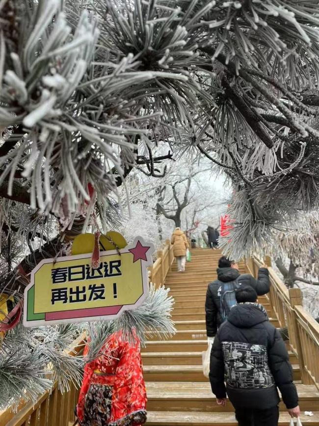  《国色芳华》热播带火沂山春节游，冰雪奇观+非遗引客增长超两成