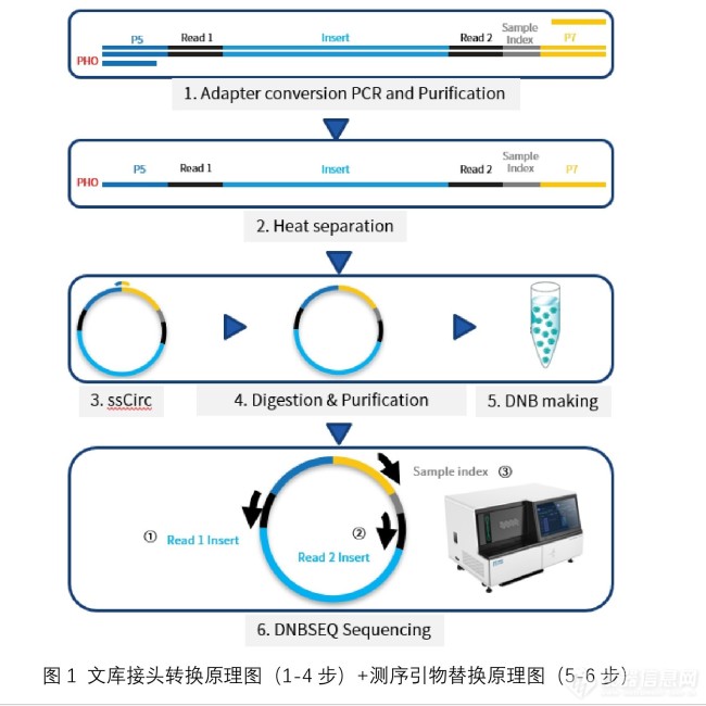 華大智造SEQ ALL新品首秀 更可靠更全面的測序方案