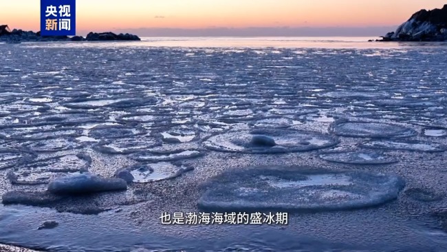 “荷叶冰”现身 秦皇岛海域出现海冰景观