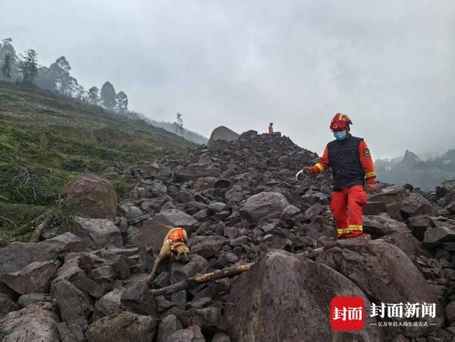 筠連山體滑坡全力搜救中 消防利用搜救犬,、探測儀救援 不放過一個角落