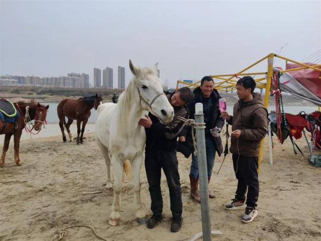 英雄白龍不幸去世 主人陪伴白龍馬最后一程