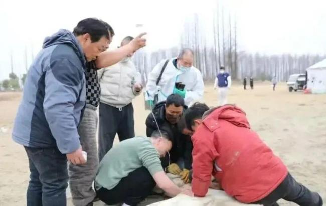 英雄白龍不幸去世 主人陪伴白龍馬最后一程