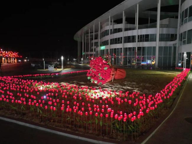 来日照与ai共赏元宵花灯 传统魅力等你体验