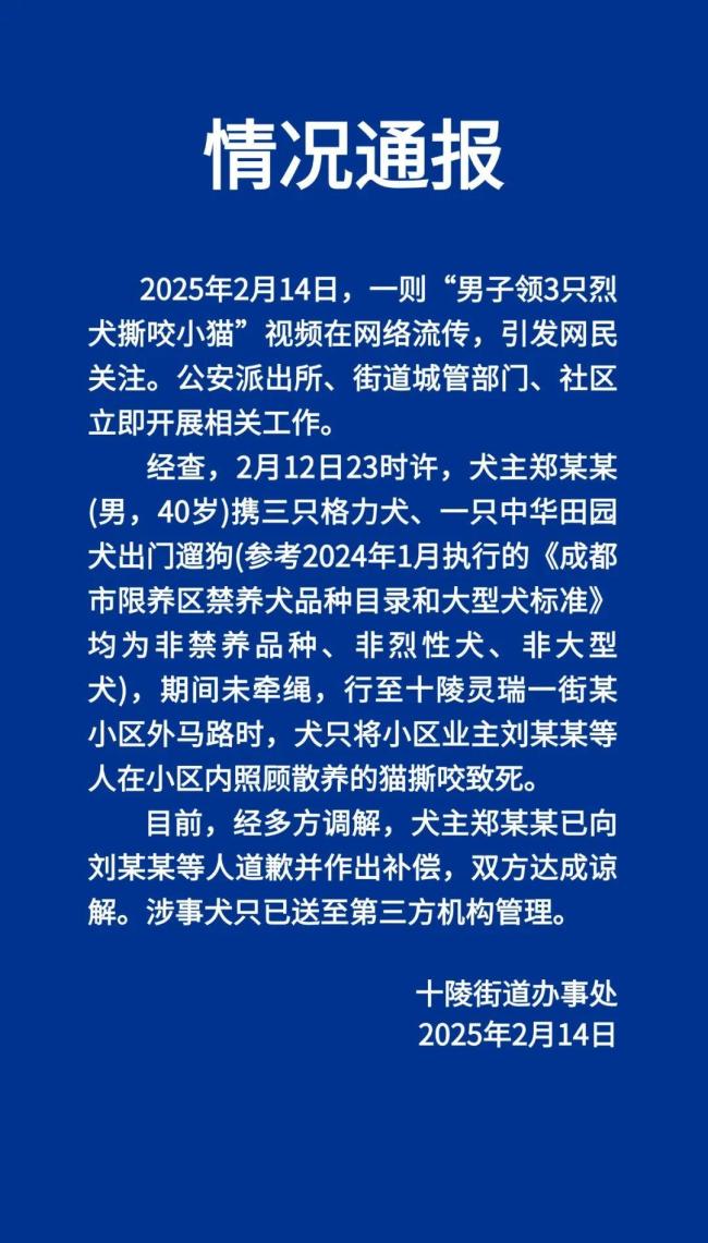 男子領(lǐng)3只烈犬咬小貓并拋尸