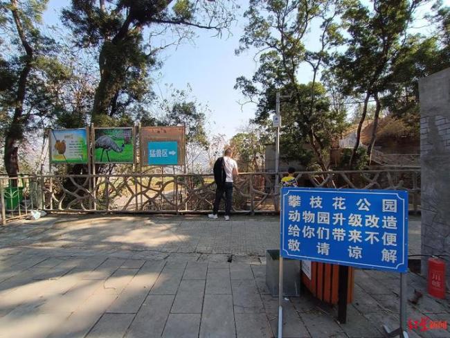 网红豹警官减肥成功 瘦身成果引游客惊叹