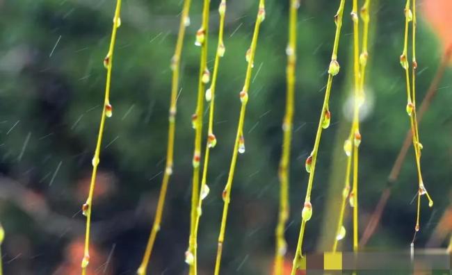 “雨淋雨水头，遍地起坟头”啥意思？ 解读农耕智慧