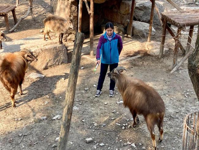 “00后”劍橋畢業(yè)生成為動物園飼養(yǎng)員,，為了事業(yè)編大材小用? 找到自己的方向