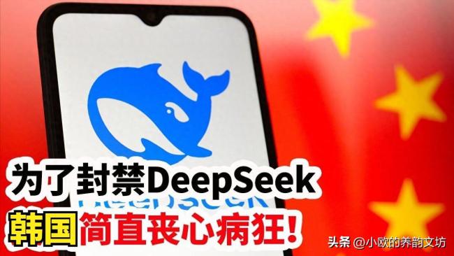 韓國代總統(tǒng)點名DeepSeek 全面禁用引發(fā)爭議