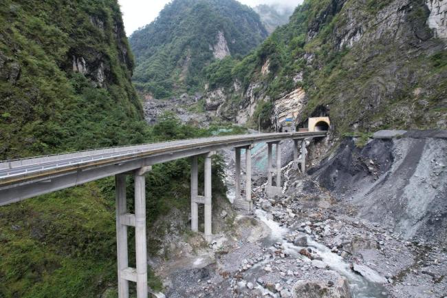 绵茂公路猴群出没引游客投喂 安全隐患需警惕