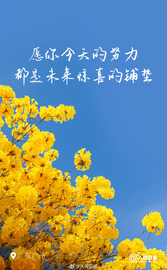 花開種花家,，不負(fù)好時(shí)光！多地已開啟花開模式