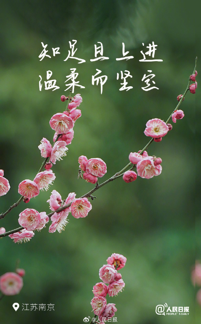 花開(kāi)種花家，不負(fù)好時(shí)光,！多地已開(kāi)啟花開(kāi)模式