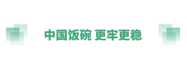 奋进的春天丨不负春时农桑忙