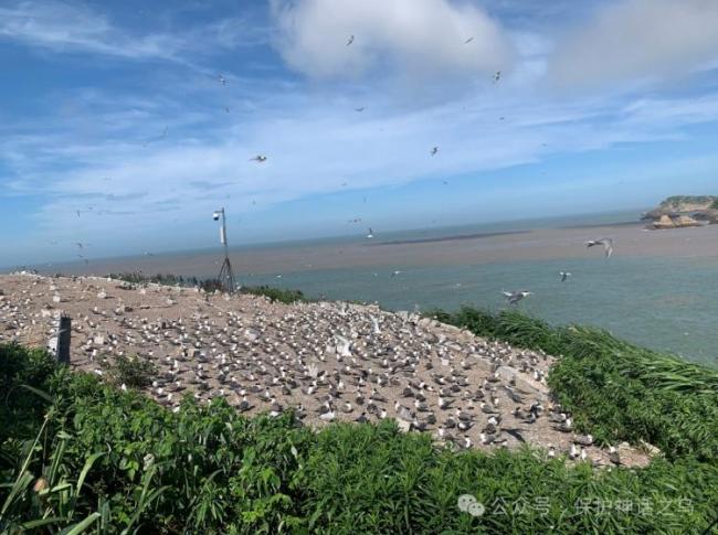 浙江300一天招守鳥人