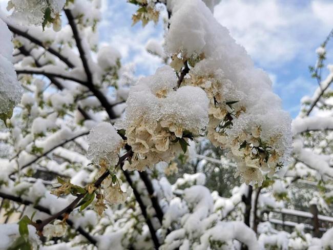 倒春寒又要來了嗎 九九天氣成關(guān)鍵