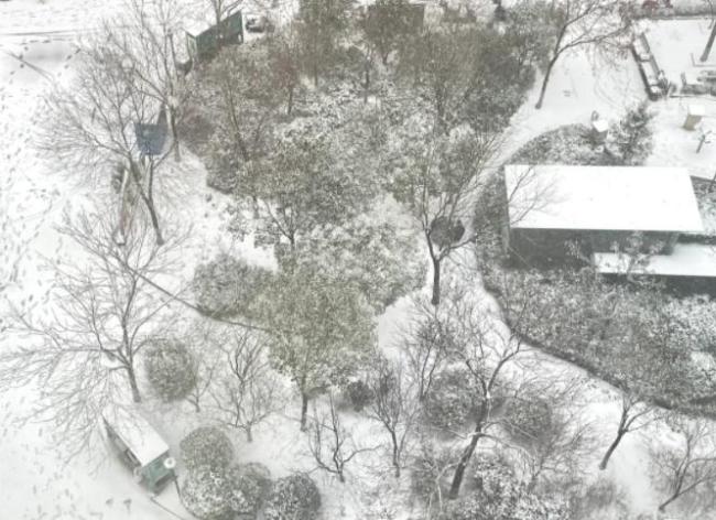 山東發(fā)暴雪橙色預警 多地大到暴雪影響交通