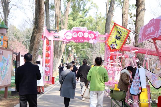 武漢東湖櫻花園開園 櫻花盛景迎客來