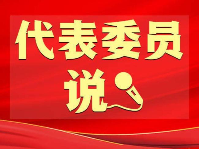 代表建議依法監(jiān)督“小過(guò)重罰”