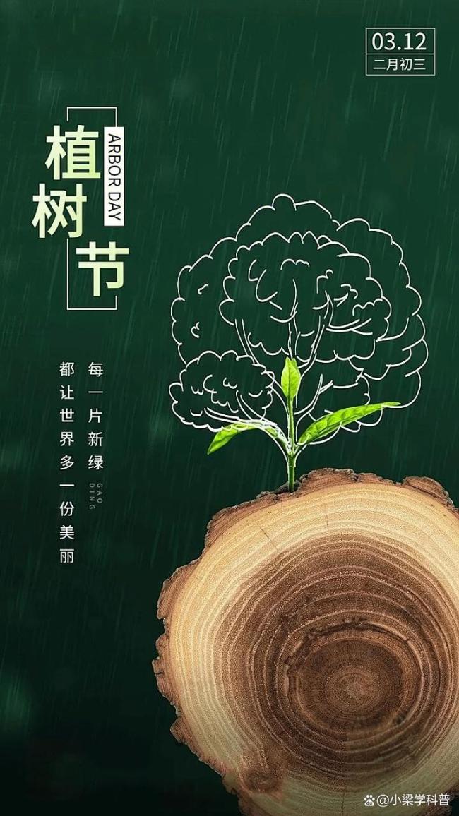 30秒了解植樹節(jié)冷知識(shí) 歷史與全球趣聞