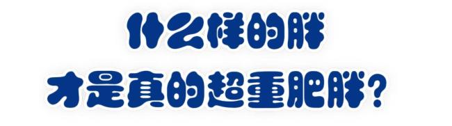 國家版指南來了科學(xué)減肥要點(diǎn)發(fā)布 警惕高血壓糖尿病心腦血管疾病