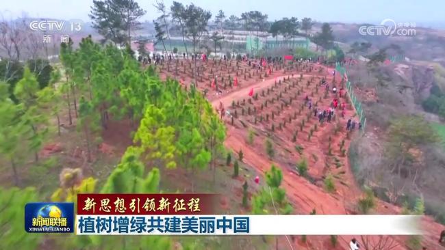 【新思想引领新征程】植树增绿共建美丽中国