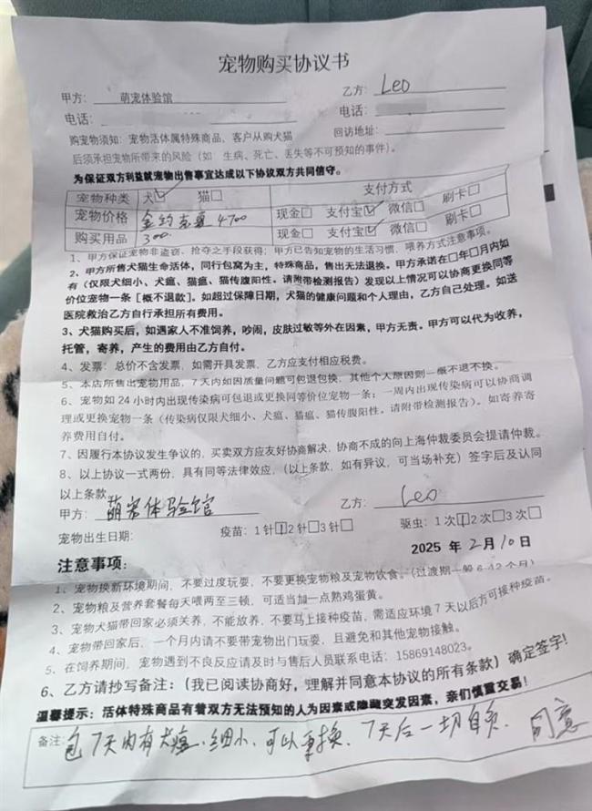 揭秘上海宠物市场销售套路 中介引流与健康隐患