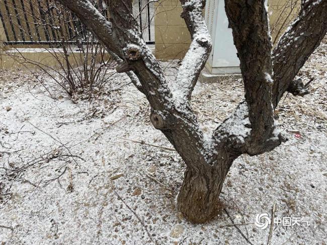 北京延慶出現(xiàn)降雪 道路結冰預警發(fā)布