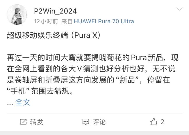 華為新形態(tài)手機或定名為“Pura X”