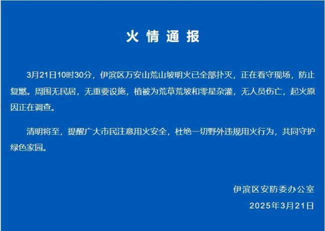 洛阳通报万安山火情 明火已全部扑灭