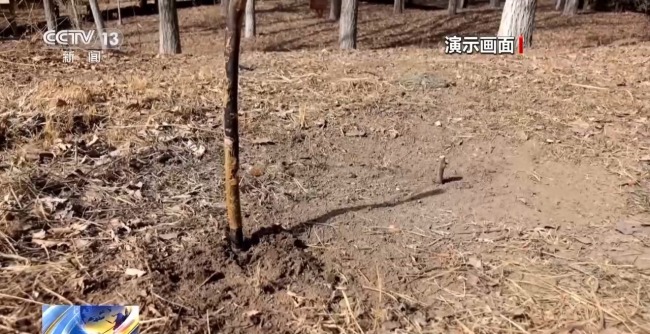 登山迷路怎么办？消防员手把手教你辨别方向