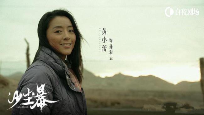 網(wǎng)劇沙塵暴定檔邊陲小城查舊案 段奕宏王鏘等演員主演