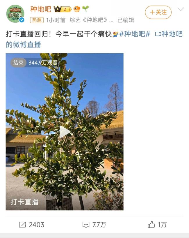 種地吧周一打卡直播