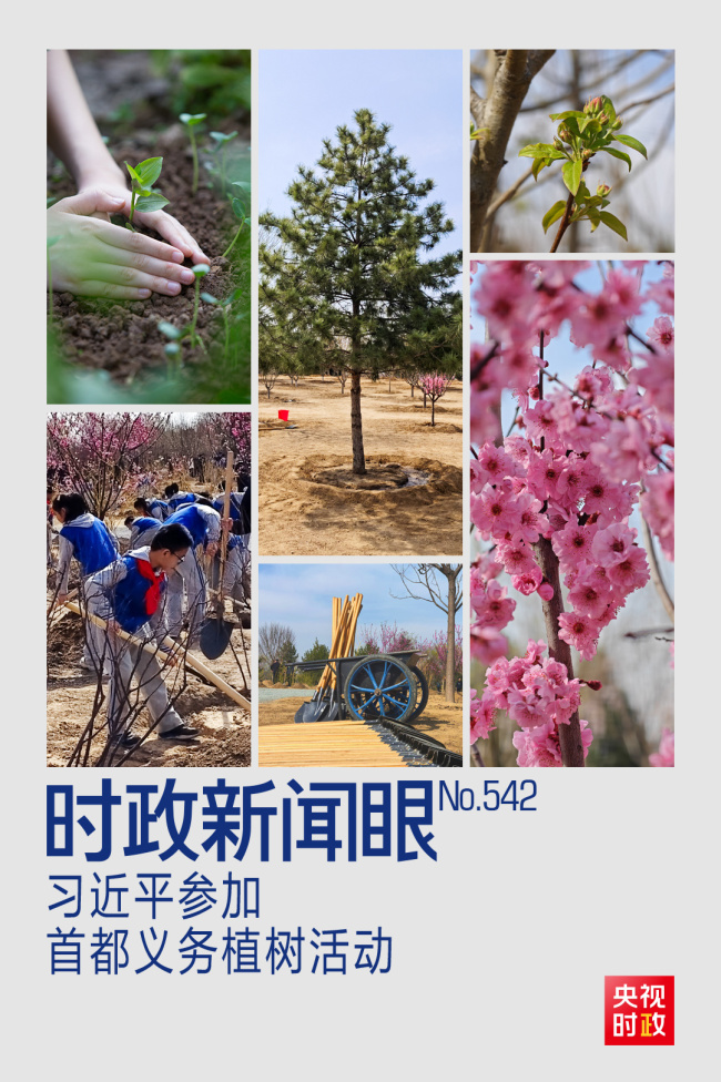 時政新聞眼丨參加首都義務(wù)植樹活動,，習(xí)近平為何強調(diào)這三個關(guān)鍵詞？