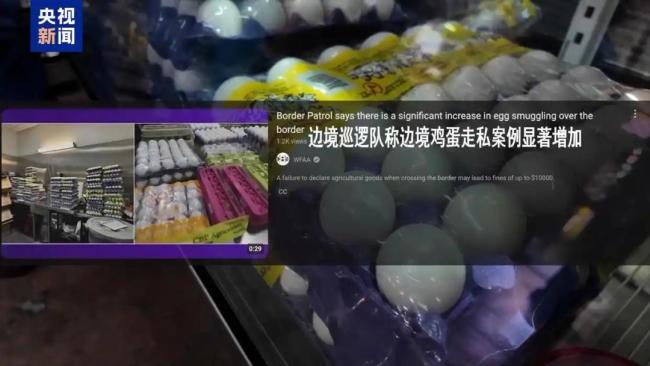 特朗普關(guān)稅戰(zhàn)反噬美國(guó) 物價(jià)上漲民眾苦不堪言