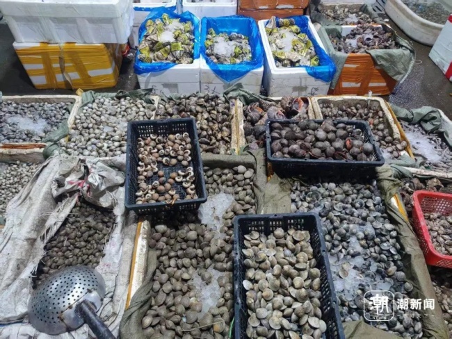5月1日起，全面禁止！杭州人想吃要等等了 东海海鲜暂别餐桌