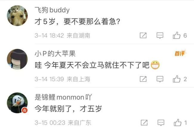 大熊貓安安被曝不近女色 專心干飯?jiān)鲋?公斤
