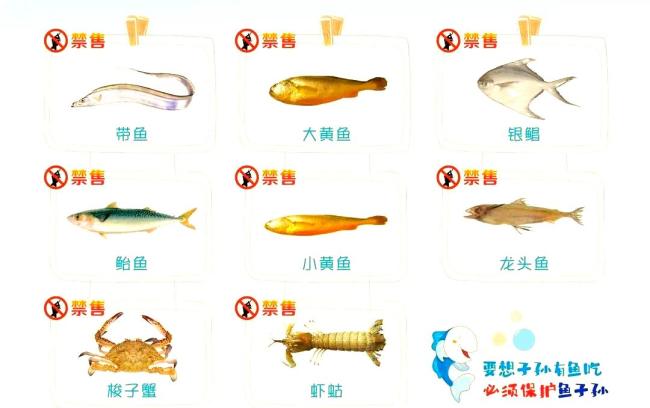 浙江5月1日起全面休漁,，8種海產(chǎn)品8日起禁售