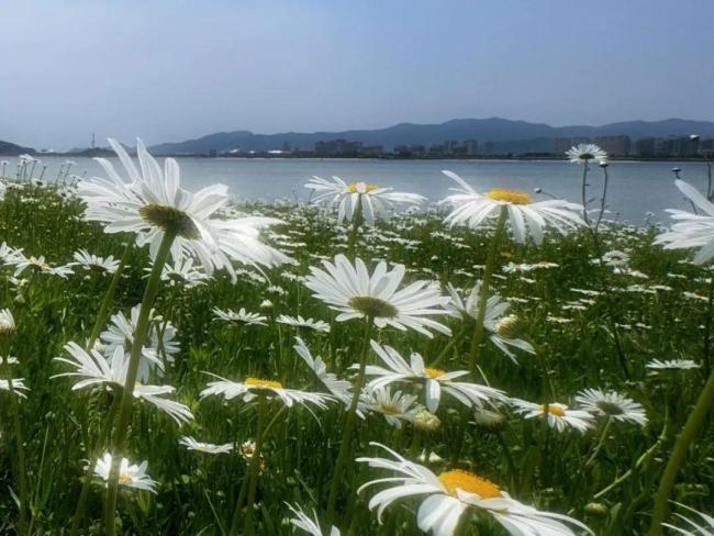 直沖34℃,！寧波天氣馬上反轉(zhuǎn),，升溫后又要降溫！這天還有雨水來襲 氣溫起伏需注意