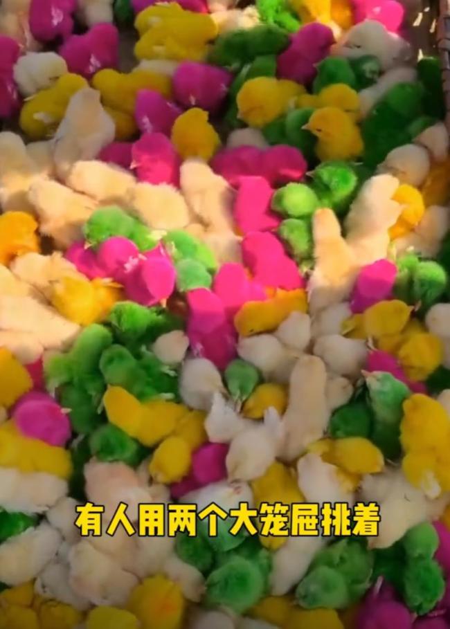 莫言回山東老家趕大集 感受社會進步與發(fā)展
