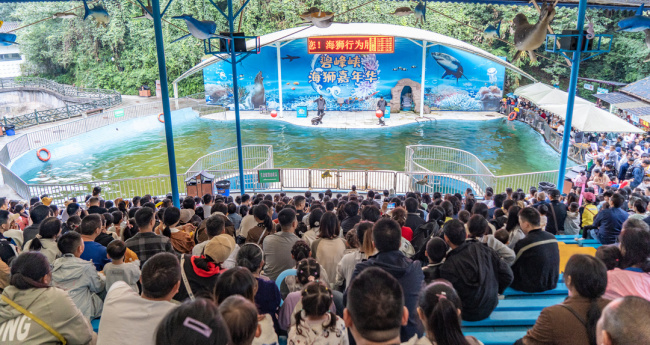 假期首日四川迎來旅游熱潮 文旅消費(fèi)活力激增