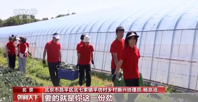 大学应届毕业生：基层就业还可享受这些"政策礼包"