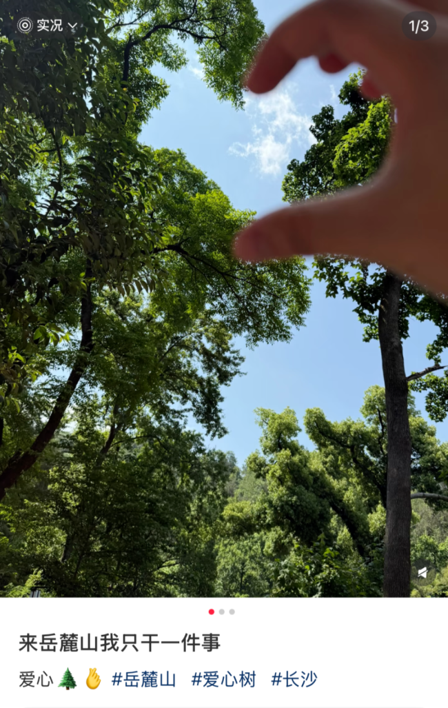 游客開始自主開發(fā)景點了 比心樹成新寵