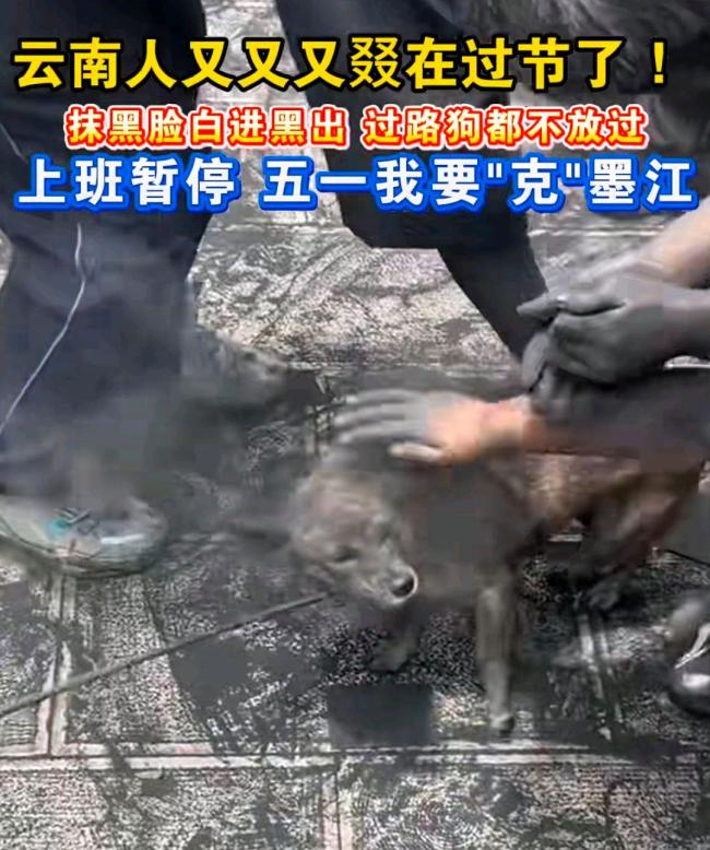 云南人：誰都別想白著回去 咖啡粉引領(lǐng)狂歡